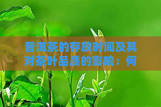 普洱茶的存放时间及其对茶叶品质的影响：何时饮用才能品尝到口感？