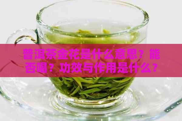 普洱茶金花是什么意思？能否喝？功效与作用是什么？