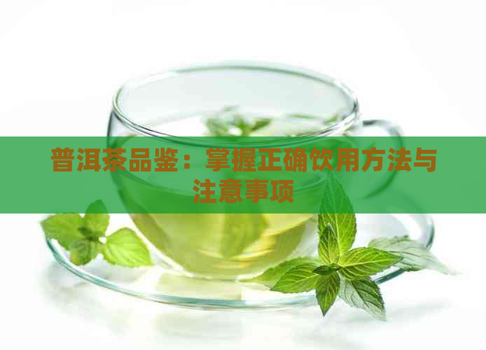 普洱茶品鉴：掌握正确饮用方法与注意事项