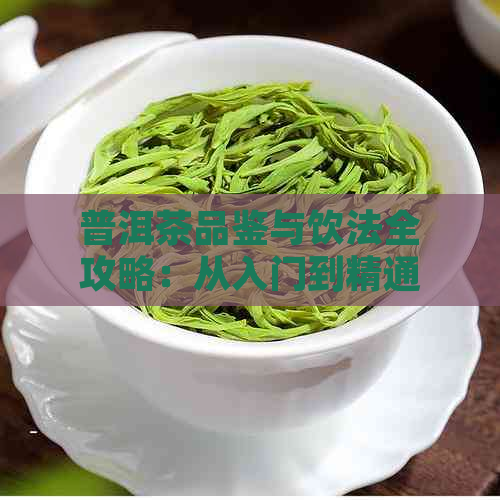 普洱茶品鉴与饮法全攻略：从入门到精通