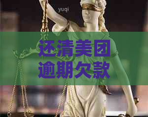 还清美团逾期欠款后，再次借款的可行性及相关政策解读