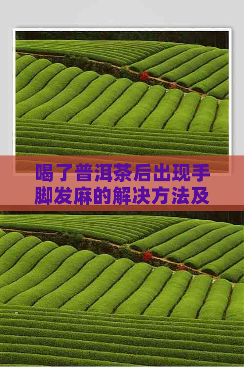 喝了普洱茶后出现手脚发麻的解决方法及可能的原因分析