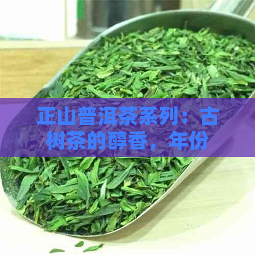 正山普洱茶系列：古树茶的醇香，年份的陈化，纯正云南的味道