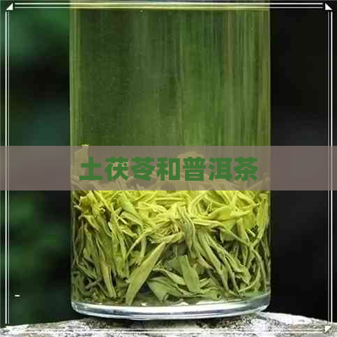 土茯苓和普洱茶