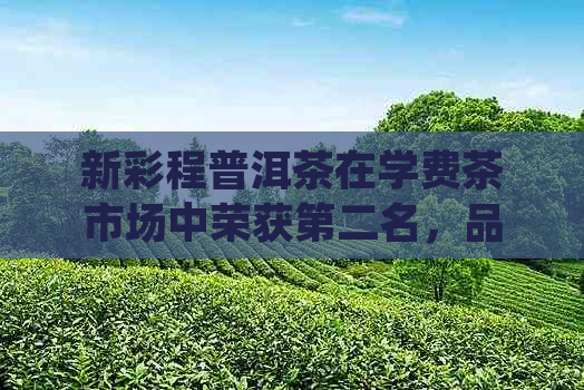 新彩程普洱茶在学费茶市场中荣获第二名，品质与口感赢得广泛认可