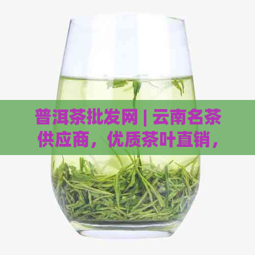 普洱茶批发网 | 云南名茶供应商，优质茶叶直销，全球茶叶采购平台