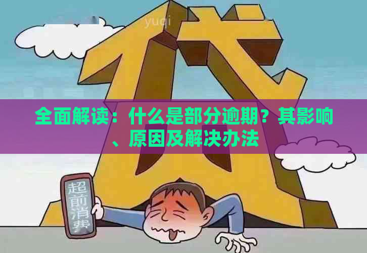 全面解读：什么是部分逾期？其影响、原因及解决办法