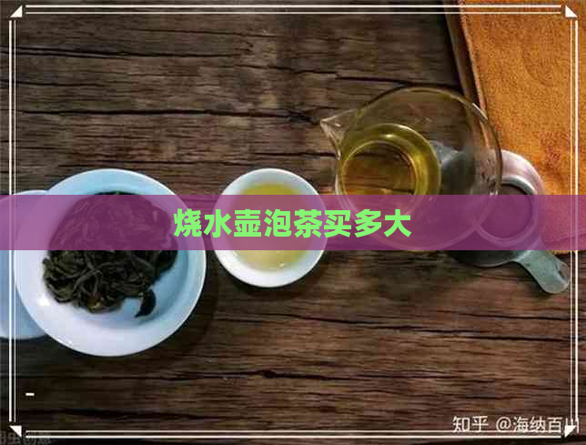 烧水壶泡茶买多大