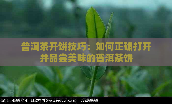 普洱茶开饼技巧：如何正确打开并品尝美味的普洱茶饼