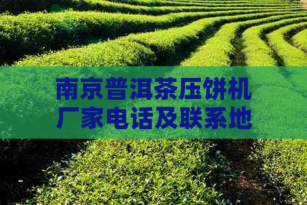 南京普洱茶压饼机厂家电话及联系地址