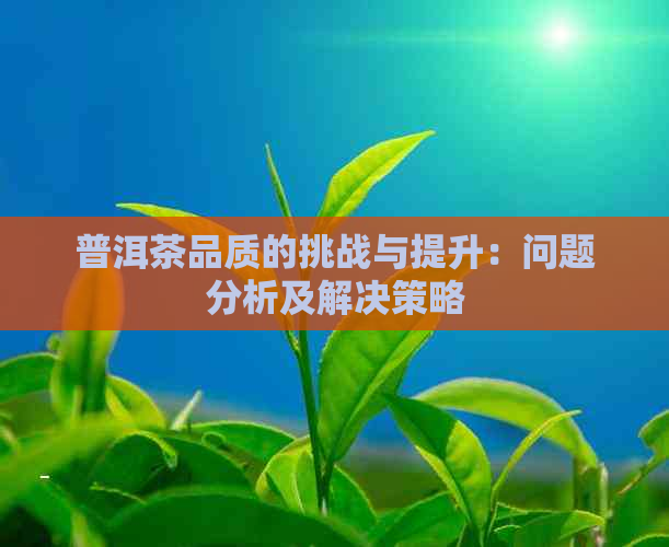 普洱茶品质的挑战与提升：问题分析及解决策略