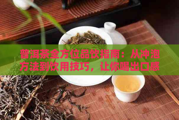 普洱茶全方位品饮指南：从冲泡方法到饮用技巧，让你喝出口感