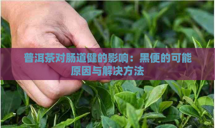 普洱茶对肠道健的影响：黑便的可能原因与解决方法