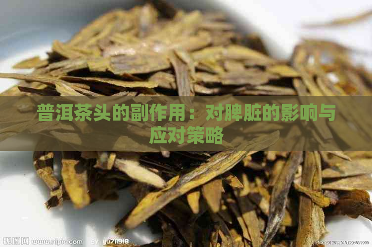 普洱茶头的副作用：对脾脏的影响与应对策略