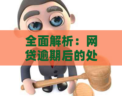 全面解析：网贷逾期后的处理办法及其影响，如何应对？