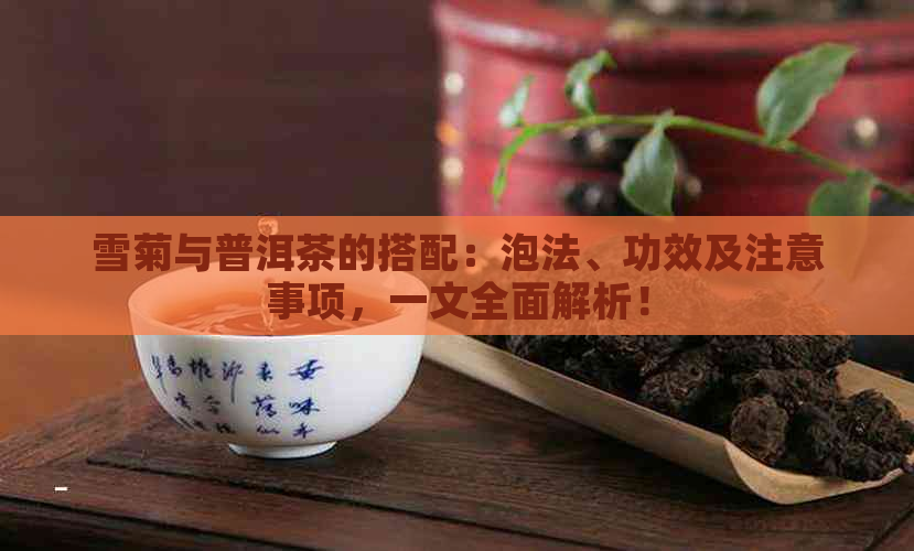 雪菊与普洱茶的搭配：泡法、功效及注意事项，一文全面解析！