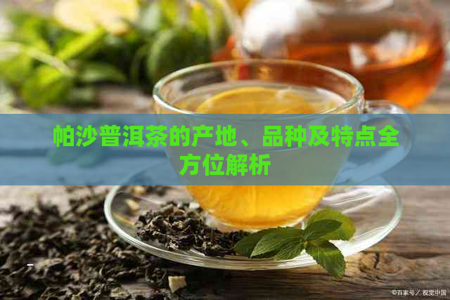 帕沙普洱茶的产地、品种及特点全方位解析