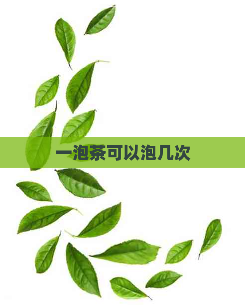 一泡茶可以泡几次