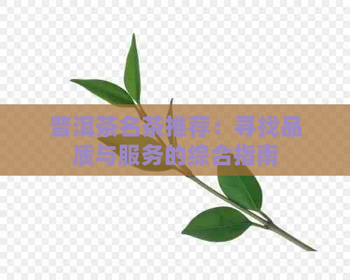 普洱茶名茶推荐：寻找品质与服务的综合指南