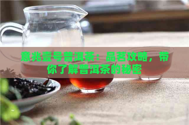 意兆壹号普洱茶：品茗攻略，带你了解普洱茶的秘密