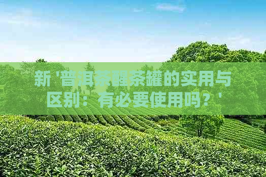 新 '普洱茶醒茶罐的实用与区别：有必要使用吗？'