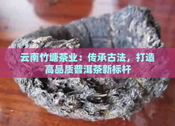 云南竹塘茶业：传承古法，打造高品质普洱茶新标杆