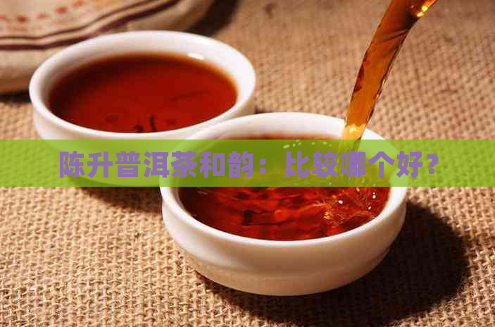 陈升普洱茶和韵：比较哪个好？