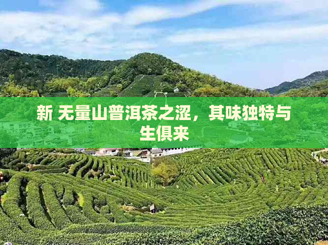 新 无量山普洱茶之涩，其味独特与生俱来