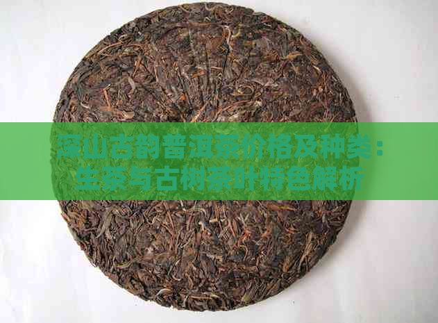 深山古韵普洱茶价格及种类：生茶与古树茶叶特色解析