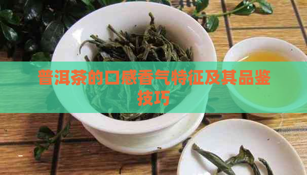 普洱茶的口感香气特征及其品鉴技巧