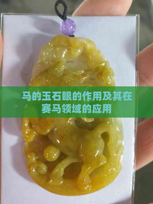 马的玉石眼的作用及其在赛马领域的应用