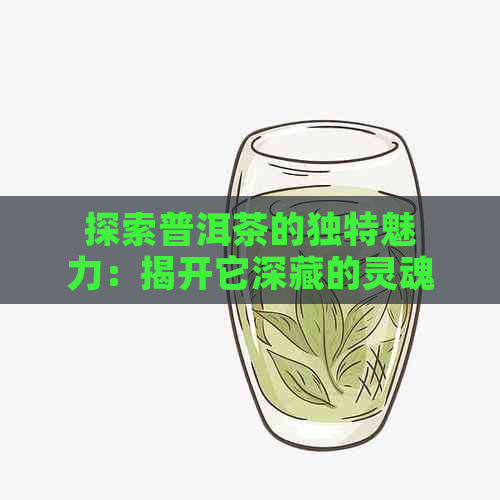 探索普洱茶的独特魅力：揭开它深藏的灵魂之谜