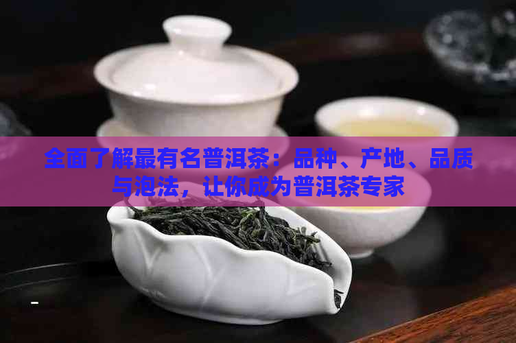 全面了解最有名普洱茶：品种、产地、品质与泡法，让你成为普洱茶专家