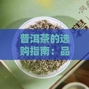 普洱茶的选购指南：品质、口感与价格的综合考量