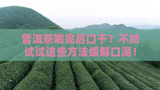 普洱茶喝完后口干？不妨试试这些方法缓解口渴！