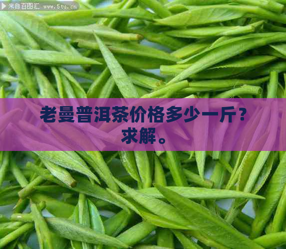 老曼普洱茶价格多少一斤？求解。