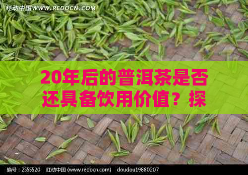 20年后的普洱茶是否还具备饮用价值？探究时间对普洱茶品质的影响