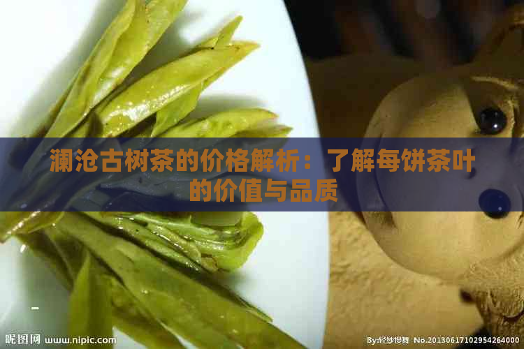 澜沧古树茶的价格解析：了解每饼茶叶的价值与品质