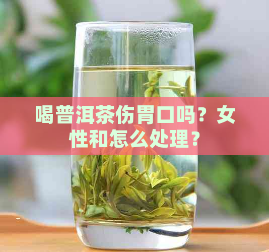 喝普洱茶伤胃口吗？女性和怎么处理？