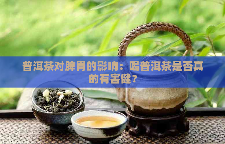 普洱茶对脾胃的影响：喝普洱茶是否真的有害健？