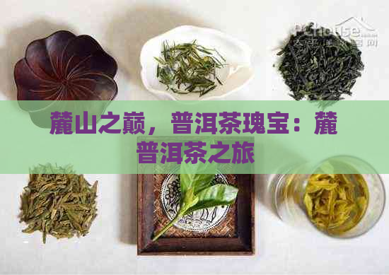 麓山之巅，普洱茶瑰宝：麓普洱茶之旅