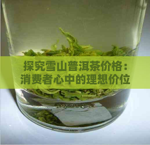 探究雪山普洱茶价格：消费者心中的理想价位是多少？