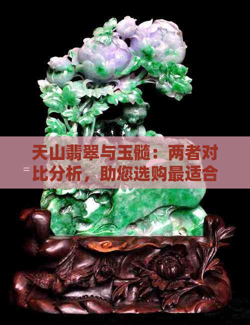 天山翡翠与玉髓：两者对比分析，助您选购最适合的宝石