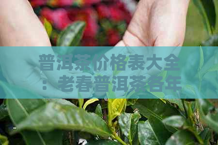 普洱茶价格表大全：老春普洱茶各年份、种类及价位一览，助您选购合适茶叶