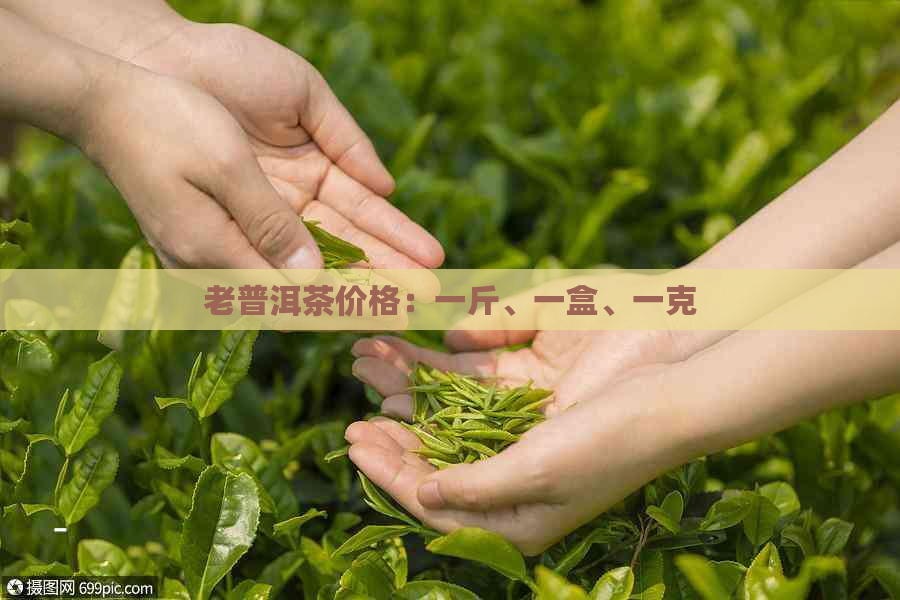 老普洱茶价格：一斤、一盒、一克