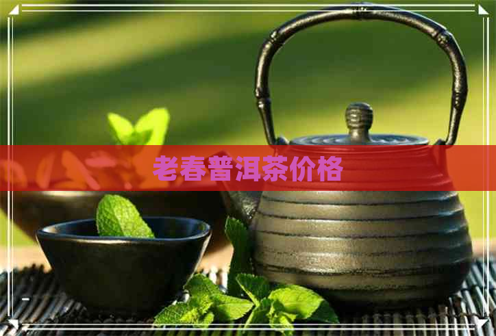 老春普洱茶价格