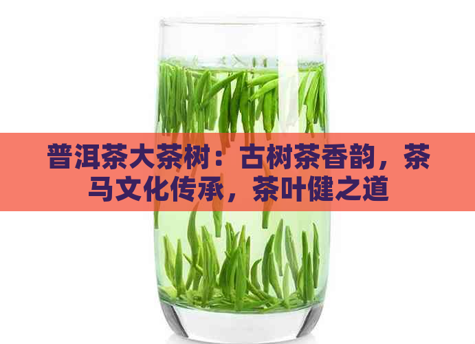 普洱茶大茶树：古树茶香韵，茶马文化传承，茶叶健之道