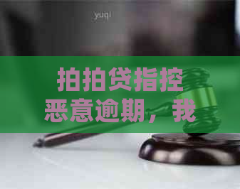 指控恶意逾期，我该怎样应对法院审理流程？