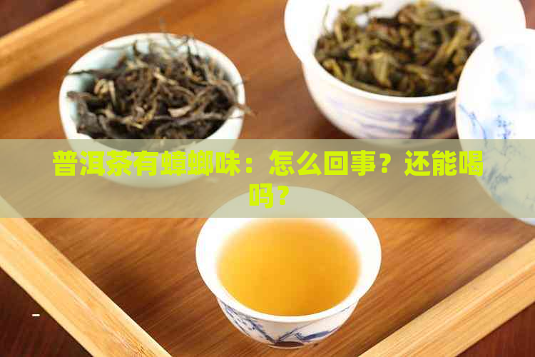 普洱茶有蟑螂味：怎么回事？还能喝吗？