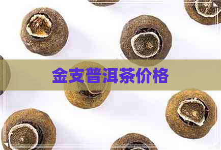 金支普洱茶价格